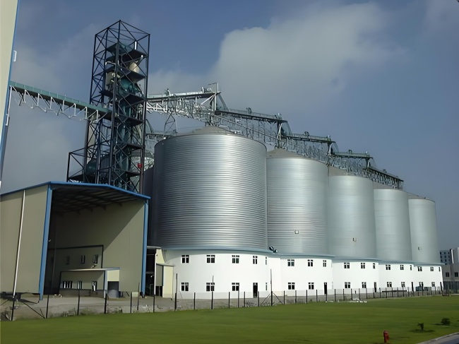 1757326960784145.jpg 658bd8d8-1026-401f-9837-806adaf5c988.jpg